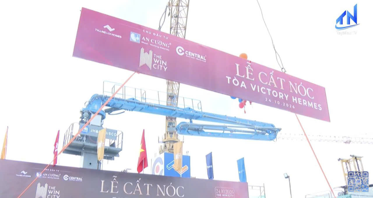 Le cat noc Victory Hermes